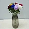 long stem roses bulk